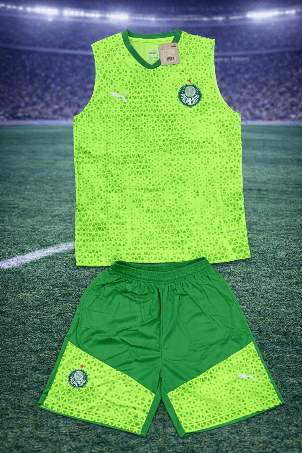 Conjunto Retro Europeo Palmeiras – Adulto